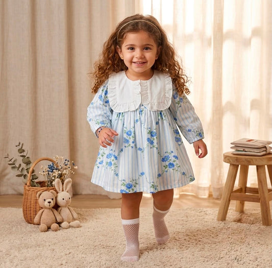 Korean Blue Floral Frock