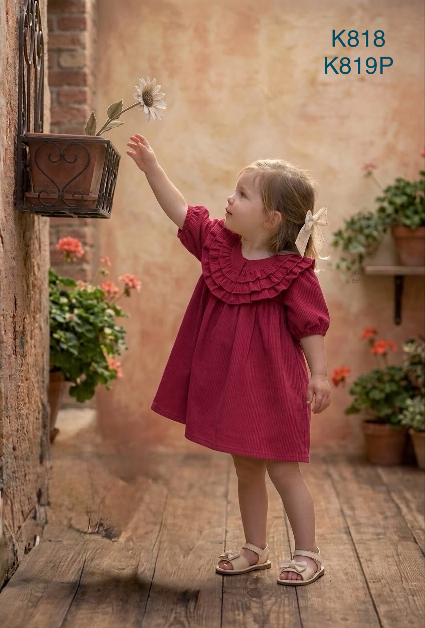 Korean Ruffle Collar Frock